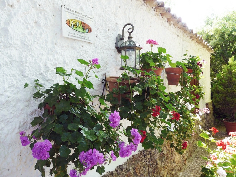 Cortijo Rural Santa Ana - Sierra de Cazorla